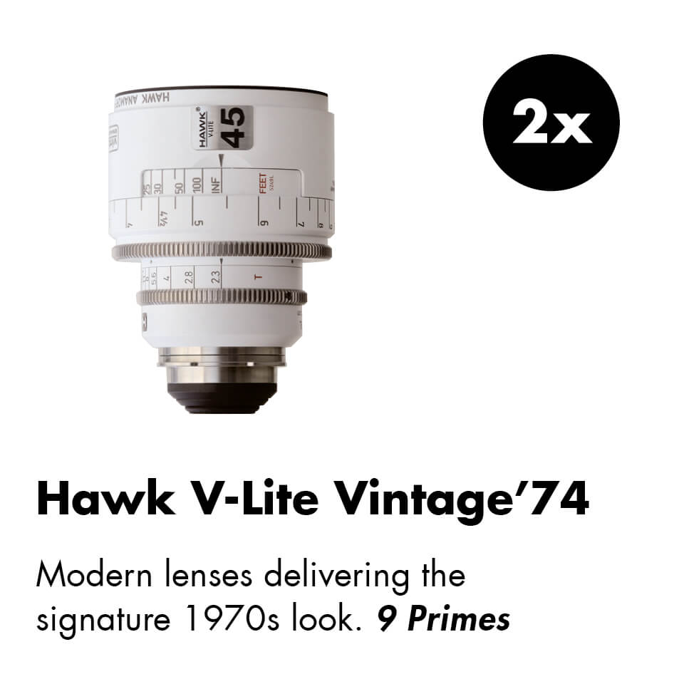 Link to Hawk V-Lite Vintage'74